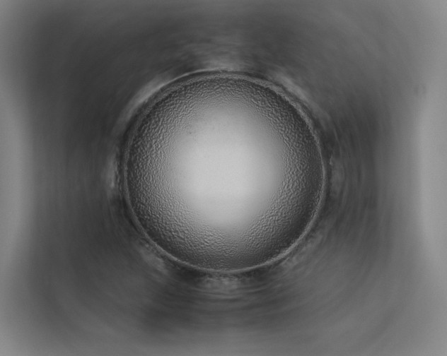 X0000113241215200909101401