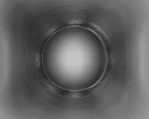 X0000113241217200909101401