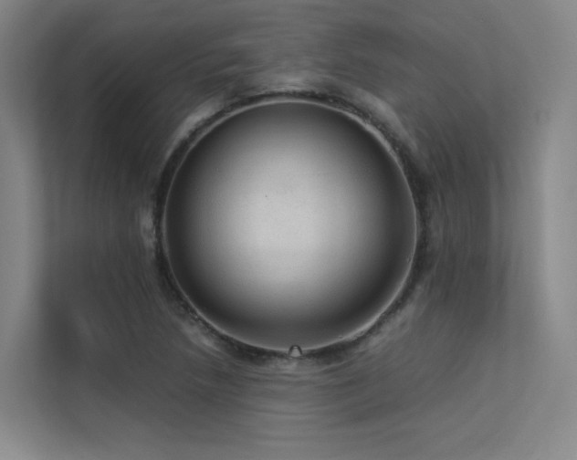 X0000113241218200909101401