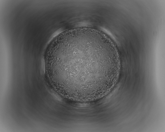 X0000113241219200909101401