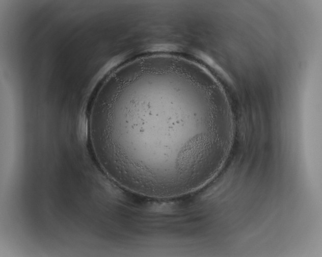 X0000113241221200909101401