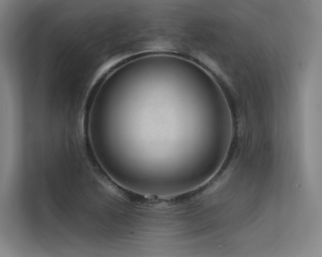 X0000113241222200909101401