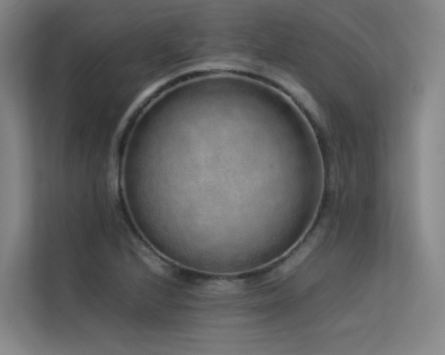 X0000113241224200909101401