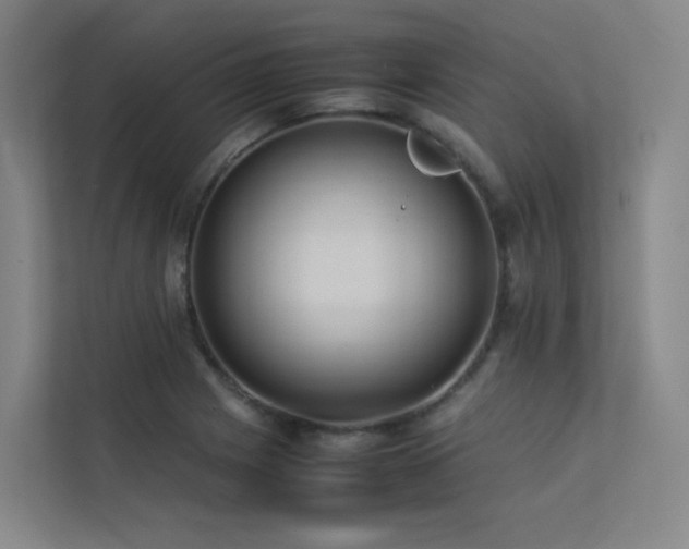 X0000113241225200909101401