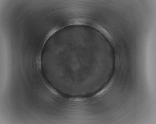 X0000113241226200909101401