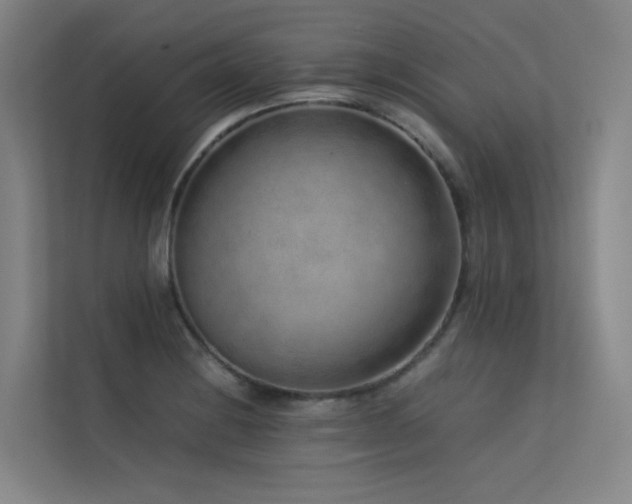 X0000113241228200909101401