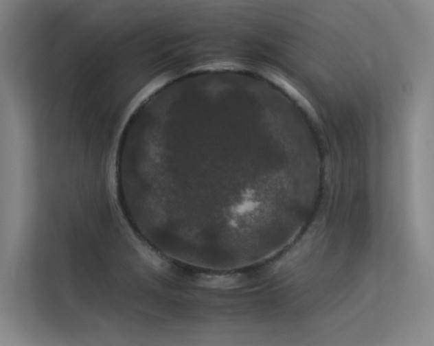 X0000113241229200909101401