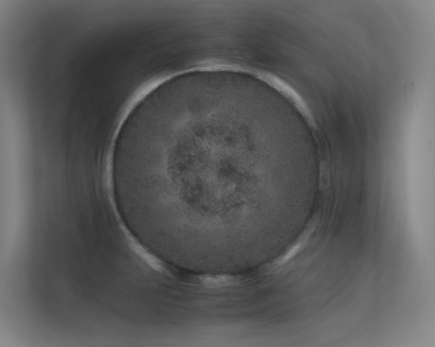 X0000113241231200909101401