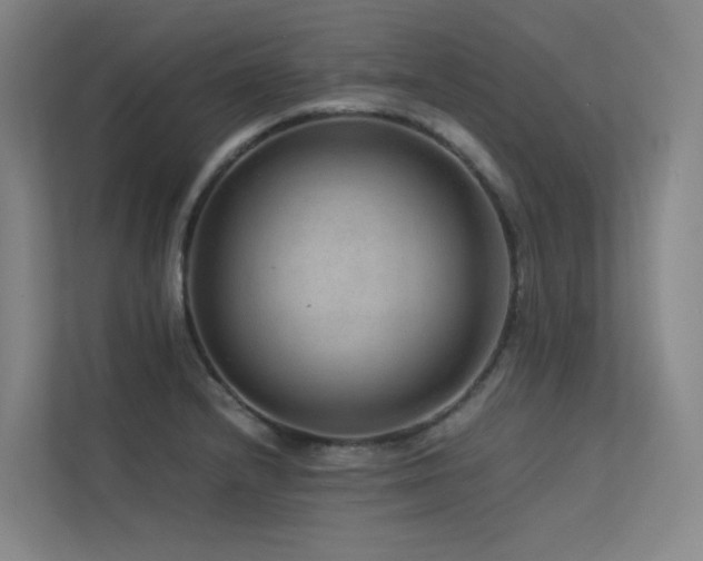 X0000113241232200909101401