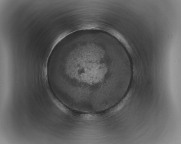 X0000113241234200909101402