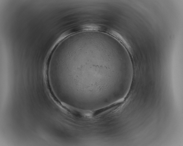 X0000113241235200909101402