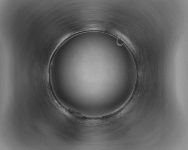 X0000113241236200909101402