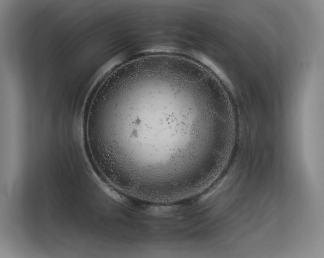 X0000113241237200909101402