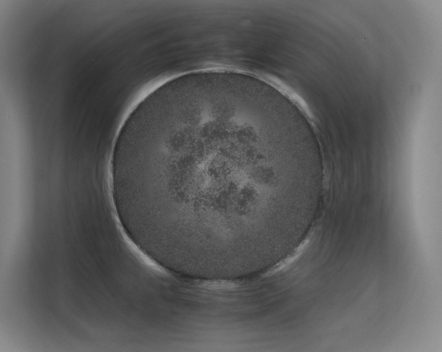 X0000113241239200909101402