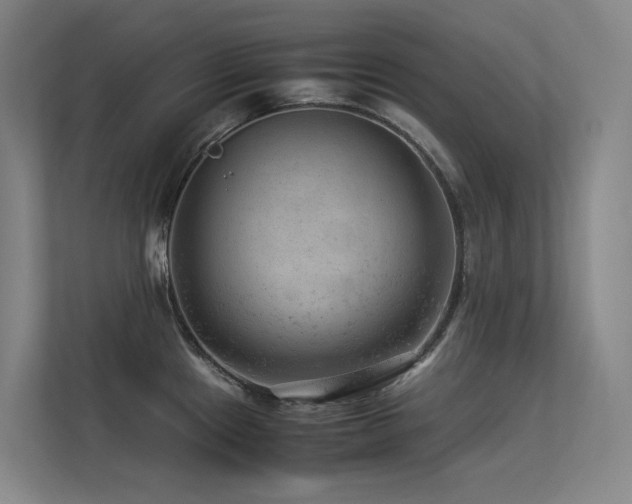 X0000113241241200909101402