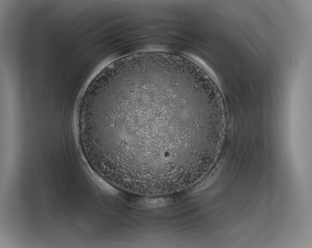 X0000113241243200909101402