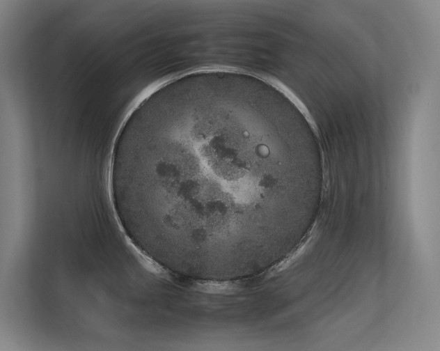 X0000113241245200909101402