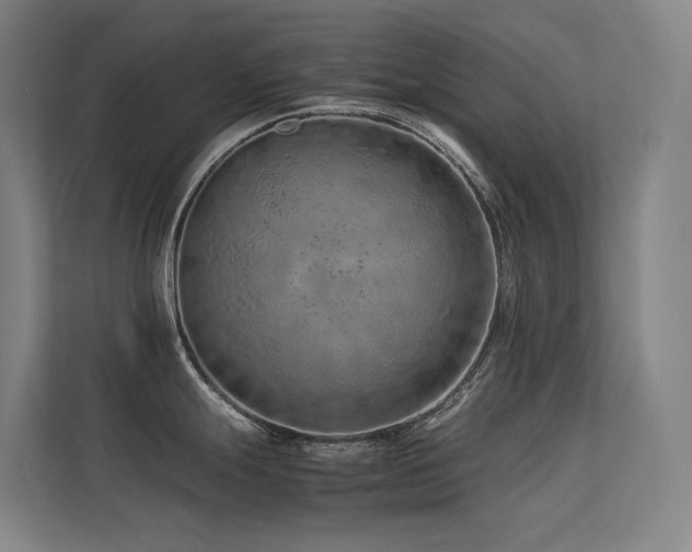 X0000113241247200909101402