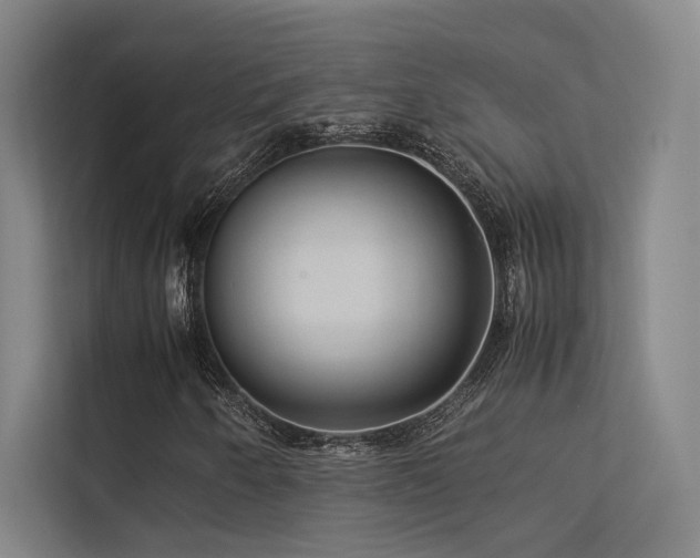 X0000113241250200909101401