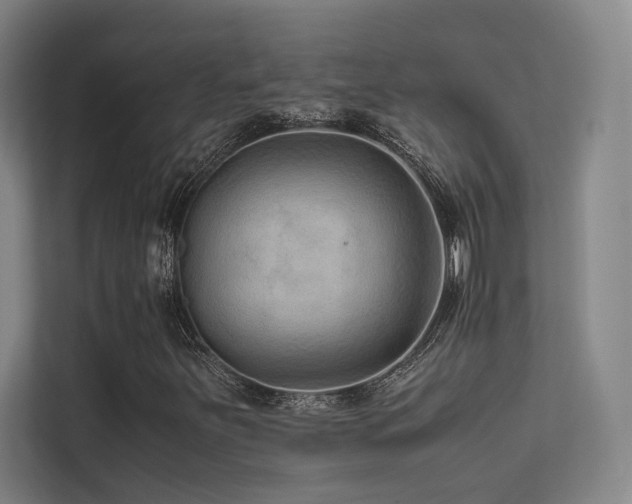 X0000113241251200909101401