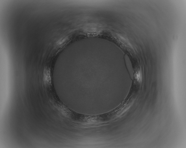 X0000113241252200909101401