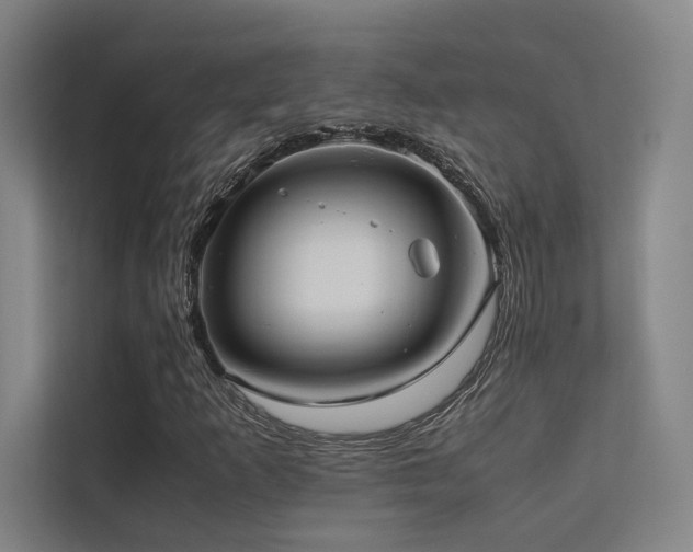 X0000113241253200909101401