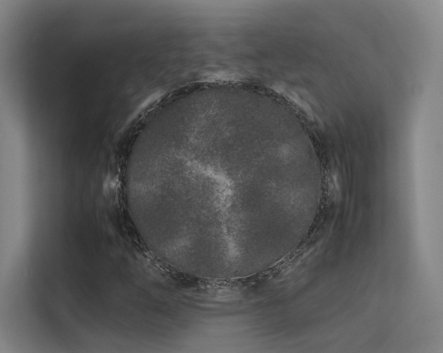 X0000113241254200909101401