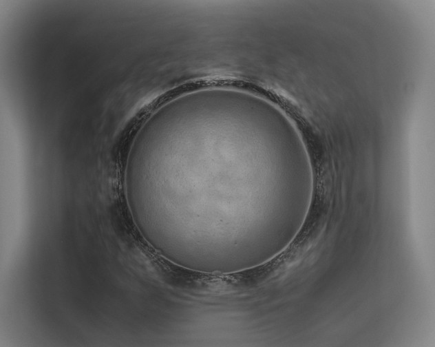 X0000113241255200909101401