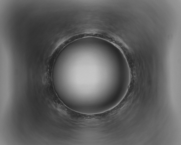 X0000113241256200909101401