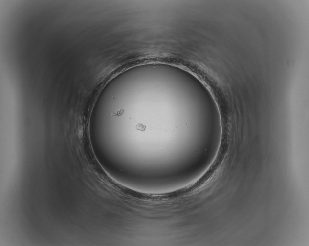 X0000113241257200909101401