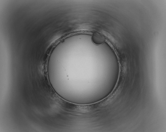 X0000113241258200909101401