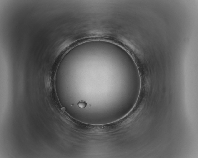 X0000113241259200909101401