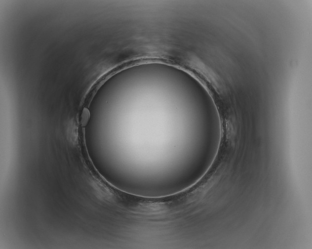 X0000113241260200909101401