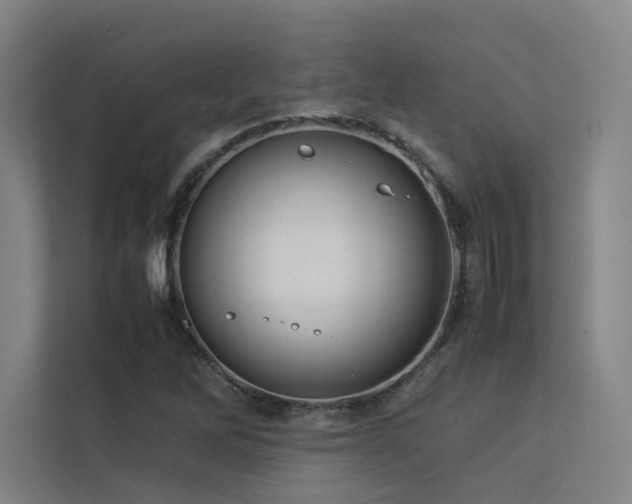 X0000113241262200909101401