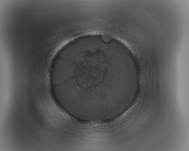 X0000113241263200909101401