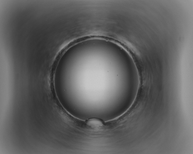 X0000113241264200909101401