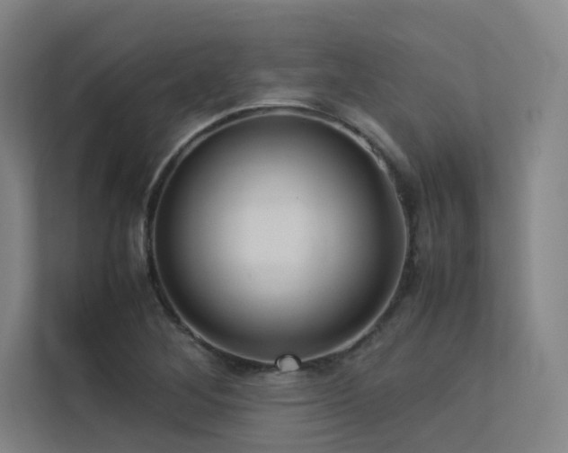 X0000113241268200909101401