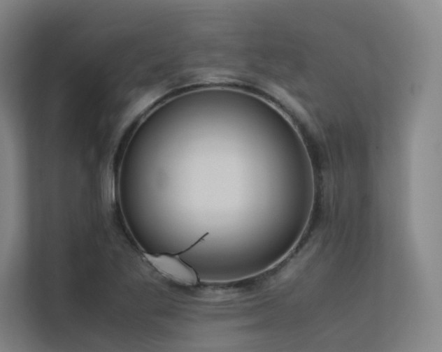 X0000113241269200909101401