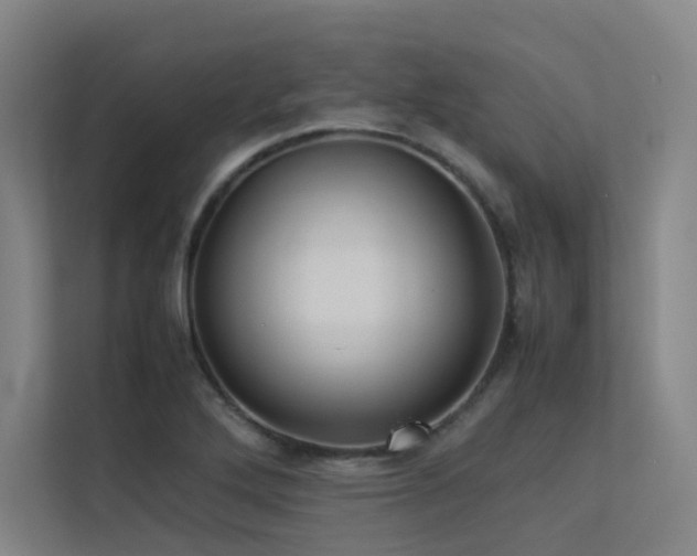 X0000113241272200909101401