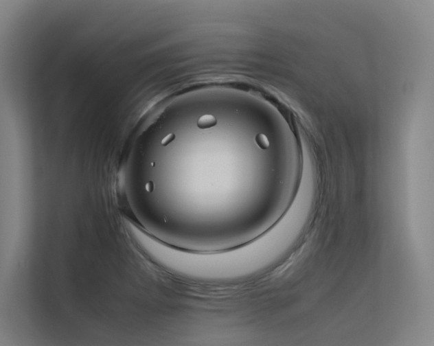 X0000113241273200909101401