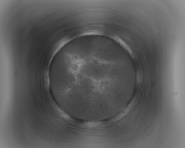 X0000113241274200909101401