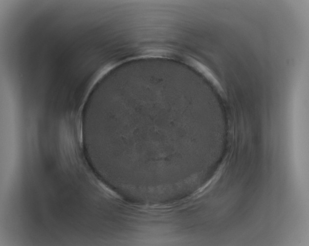 X0000113241275200909101401