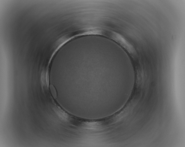 X0000113241276200909101401