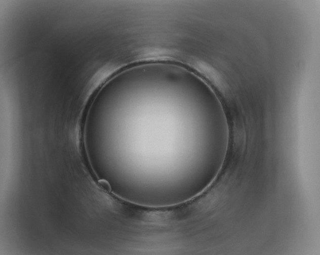 X0000113241277200909101401