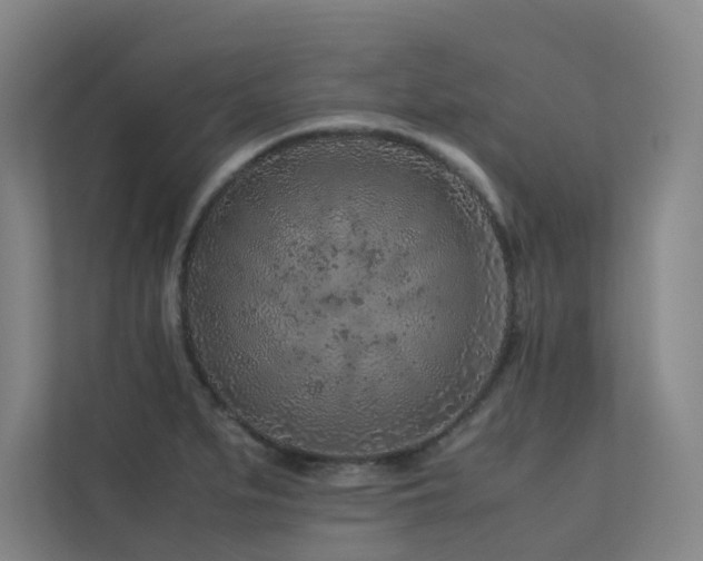 X0000113241279200909101401