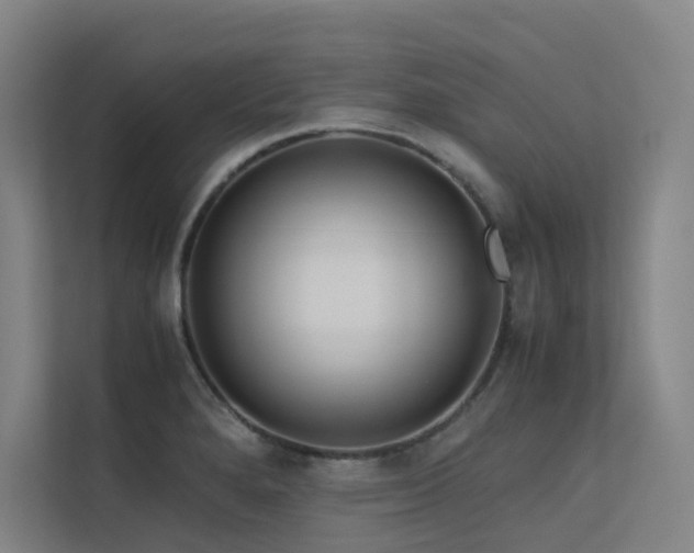 X0000113241280200909101401