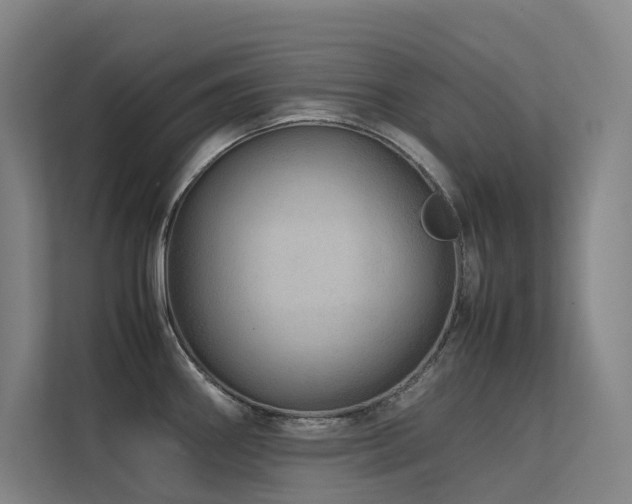 X0000113241290200909101400