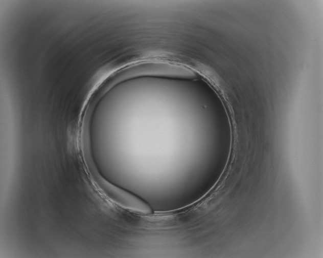 X0000113241296200909101400