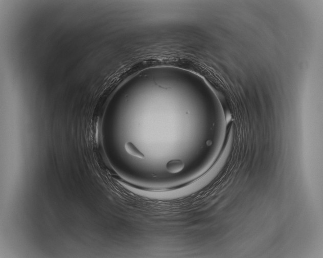 X0000113241298200909101400