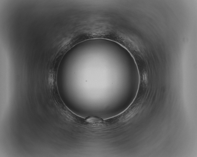 X0000113241300200909101400